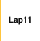 Lap11