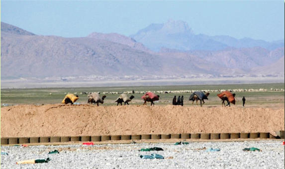 Camel train...This is a scene right outside the FOB. 