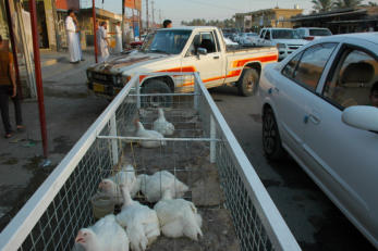 Retrieved photo.  Where one goes to buy chicken.